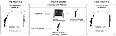 Action Observation Combined With Conventional Training Improves the Rugby Lineout Throwing Performance: A Pilot Study